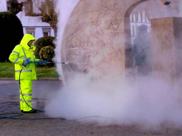 Best Roof Pressure Washing  in Irmo, SC